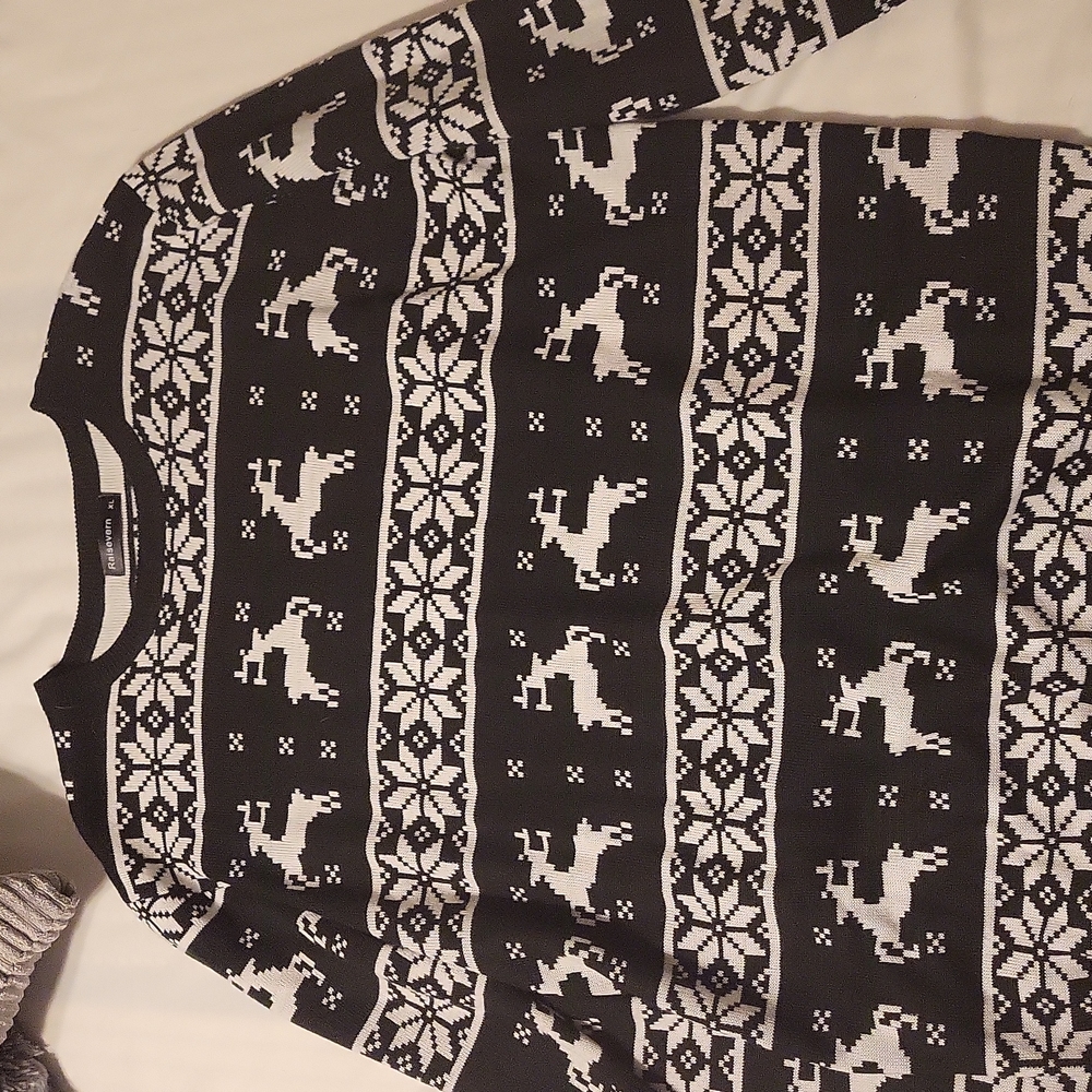 Beautiful Winter Patterned Sweater - image 1